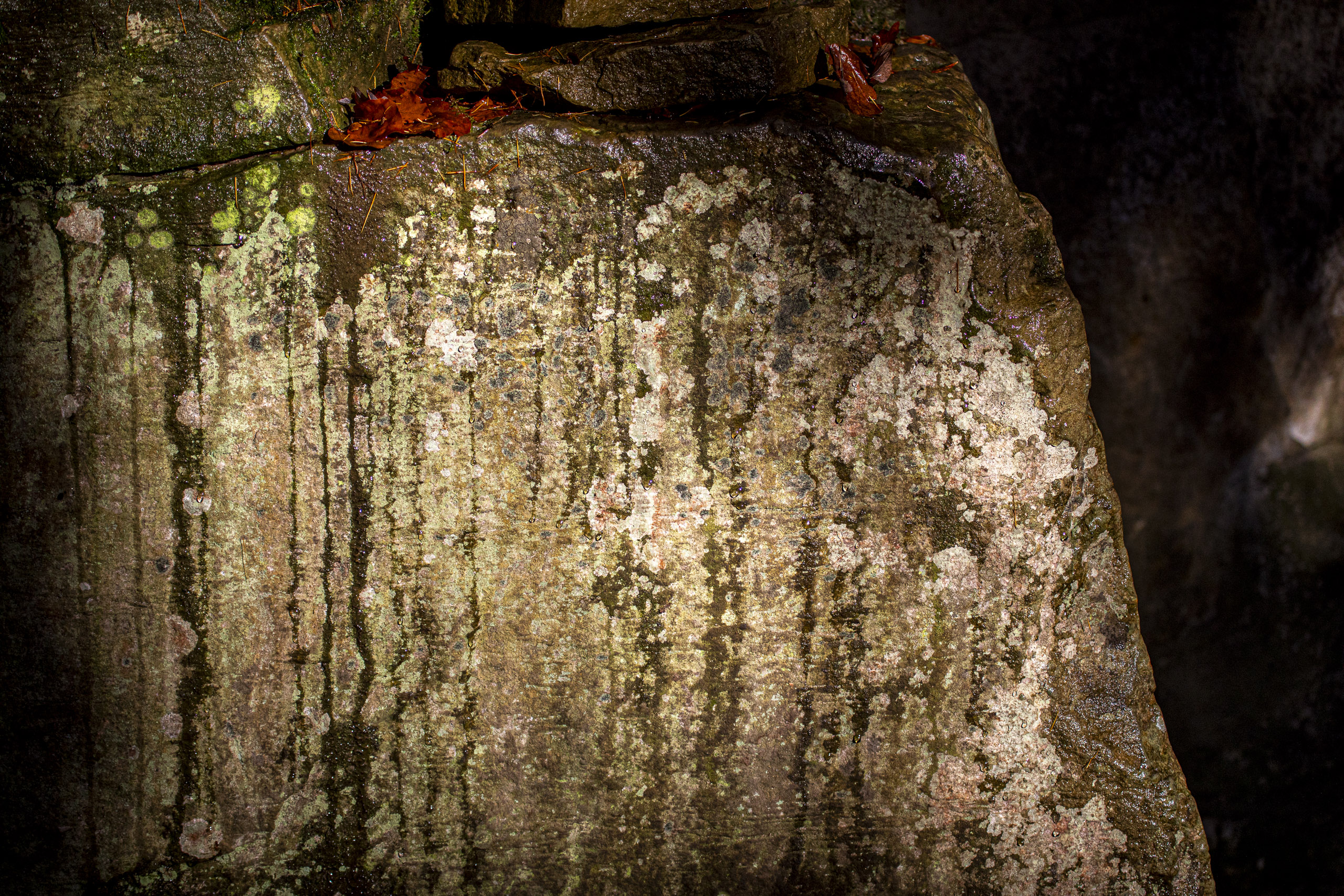 20251129121712 RD4 0775